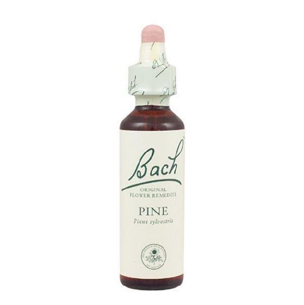 БАХ МОНО Pine Nr.24 20 мл.
